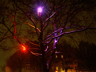 Leuchtender Baum 1